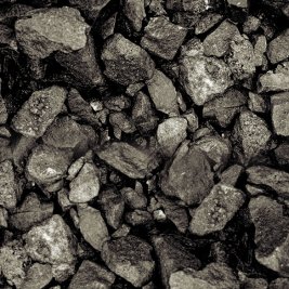 Zdjęcie-8